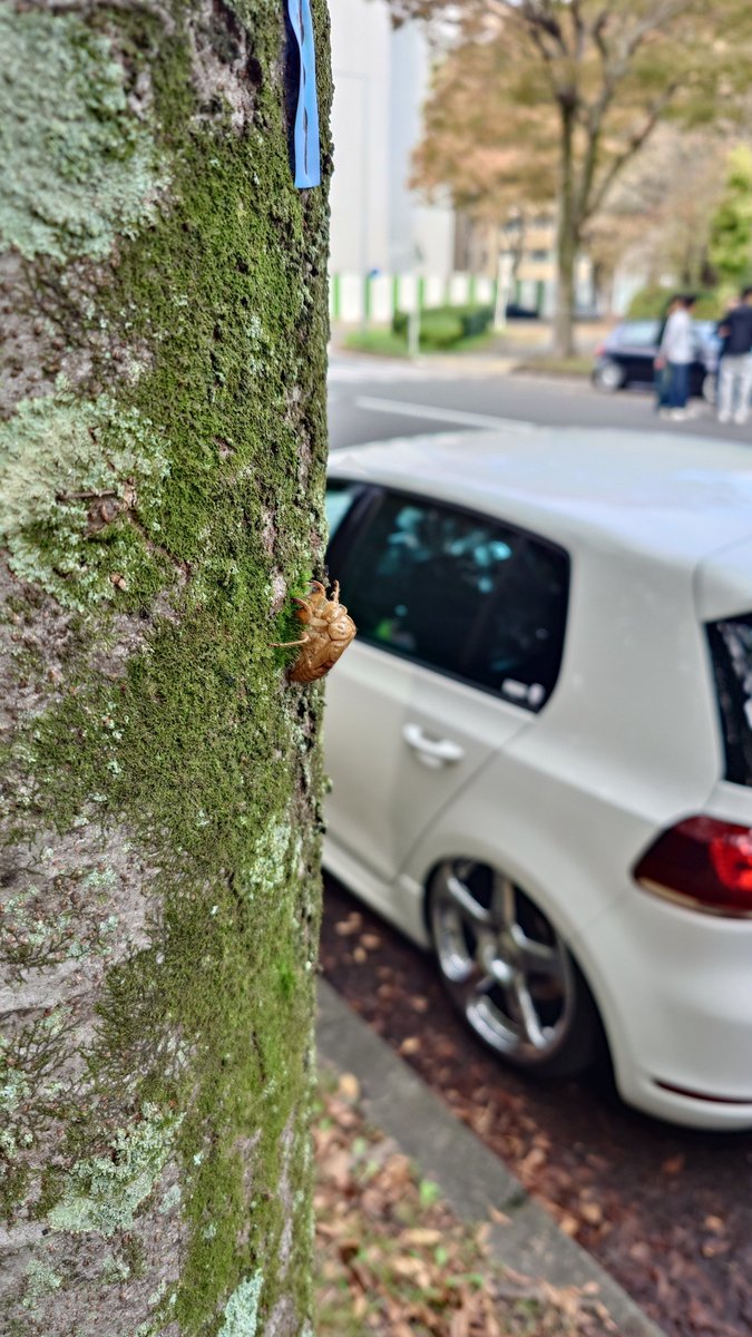 朝活してきた。
都会いくとすぐ田舎の部分探しちゃう🫠