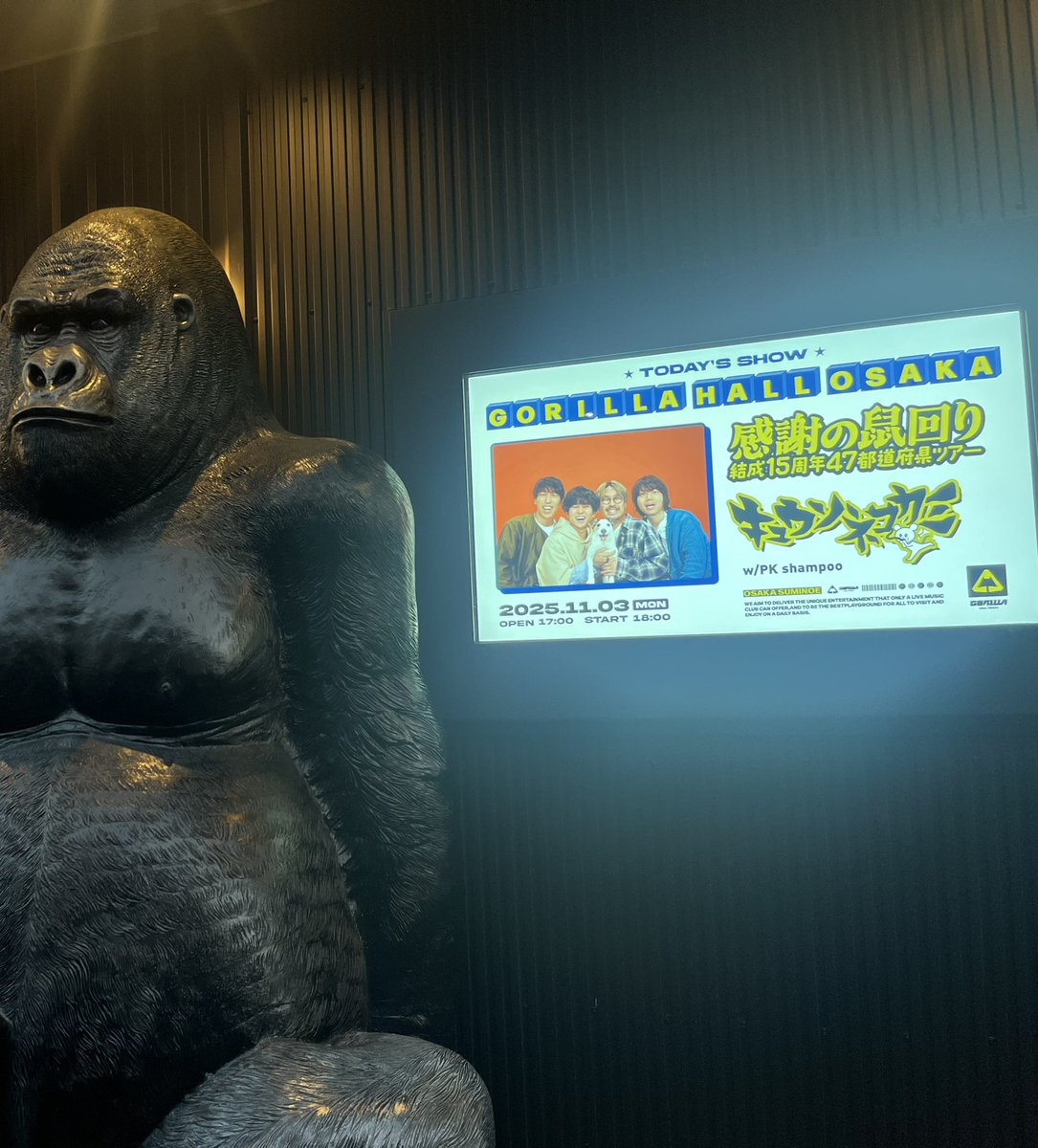 激レア◇交渉可◇ EXOエクソ◇タオ◇ロスプラ#1大阪最終公演サインボール◇ファンズータオ◇k-pop EXO ライヴレポート