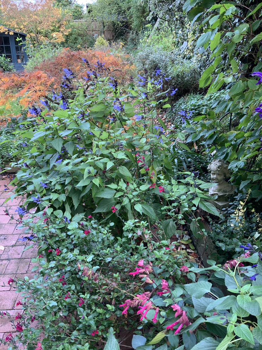 Tessa Kulik tweet media