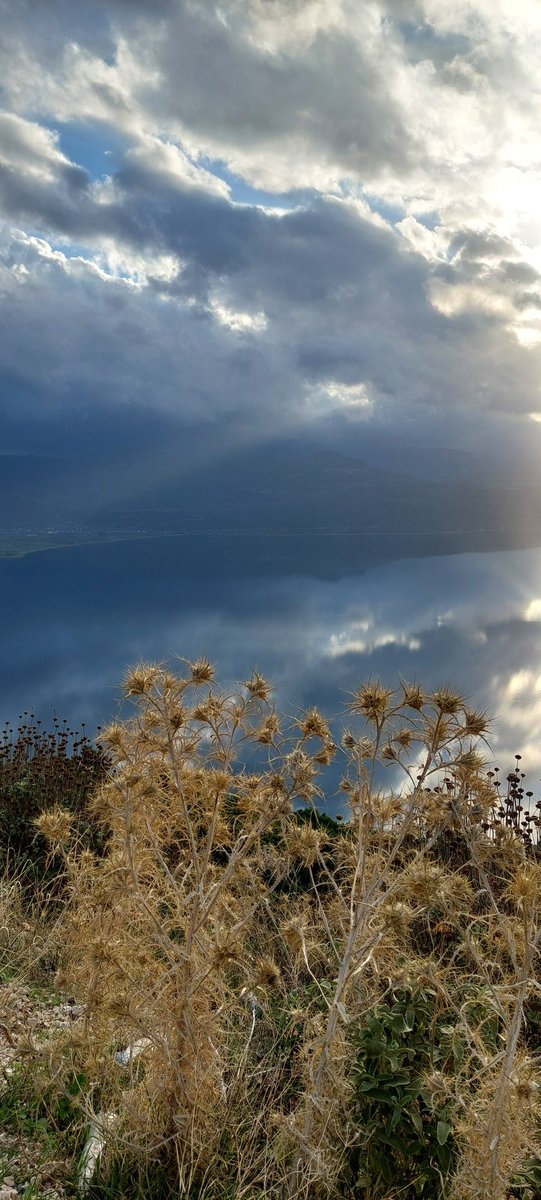 Καλοτάξιδη να'ναι για όλους η καινούρια εβδομάδα,με υγεία.
Καλό σας απόγευμα.♥️