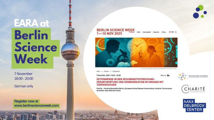 EARA_PL's tweet image. Rozpoczyna się Berlin Science Week! 
@The_EARA  wraz z @TVVde, @ChariteBerlin i MDC zapraszają na debatę o #BadaniachNaZwierzętach.
Dołącz do dyskusji i poznaj perspektywy ekspertów z obszaru nauki, polityki i komunikacji.
#AnimalResearch #BerlinScienceWeek #ScienceCommunication
