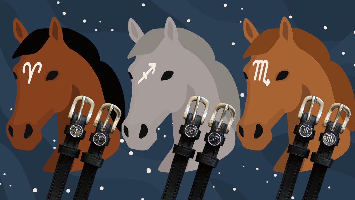 Peek behind the curtain of 2026... 

When the Stars Align: Eerily Accurate* Horse Horoscopes 
link.horsenetwork.com/47xWsgc