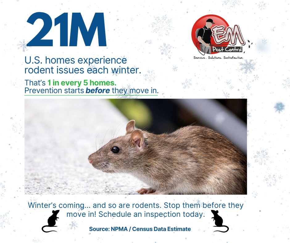 empestcontrol14's tweet image. Rodents don’t take a winter break — they look for warmth and shelter. Each winter, 21 million U.S. homes face rodent problems — that’s 1 in 5! Seal entry points, tidy up storage areas, and schedule a prevention inspection today. 516-455-6742 #RodentControl #PestPrevention