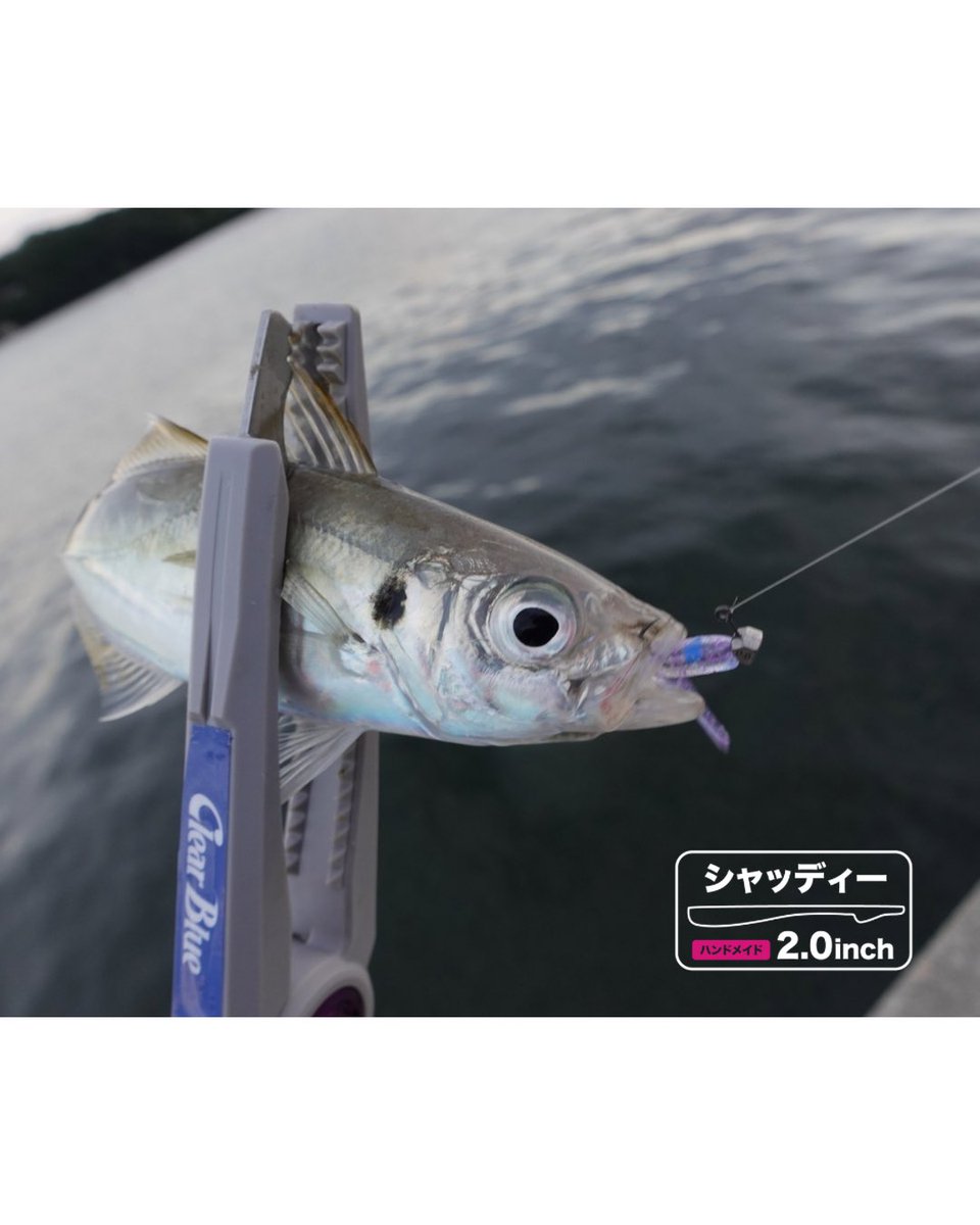 本岡利將@アジング/クリアブルー on X