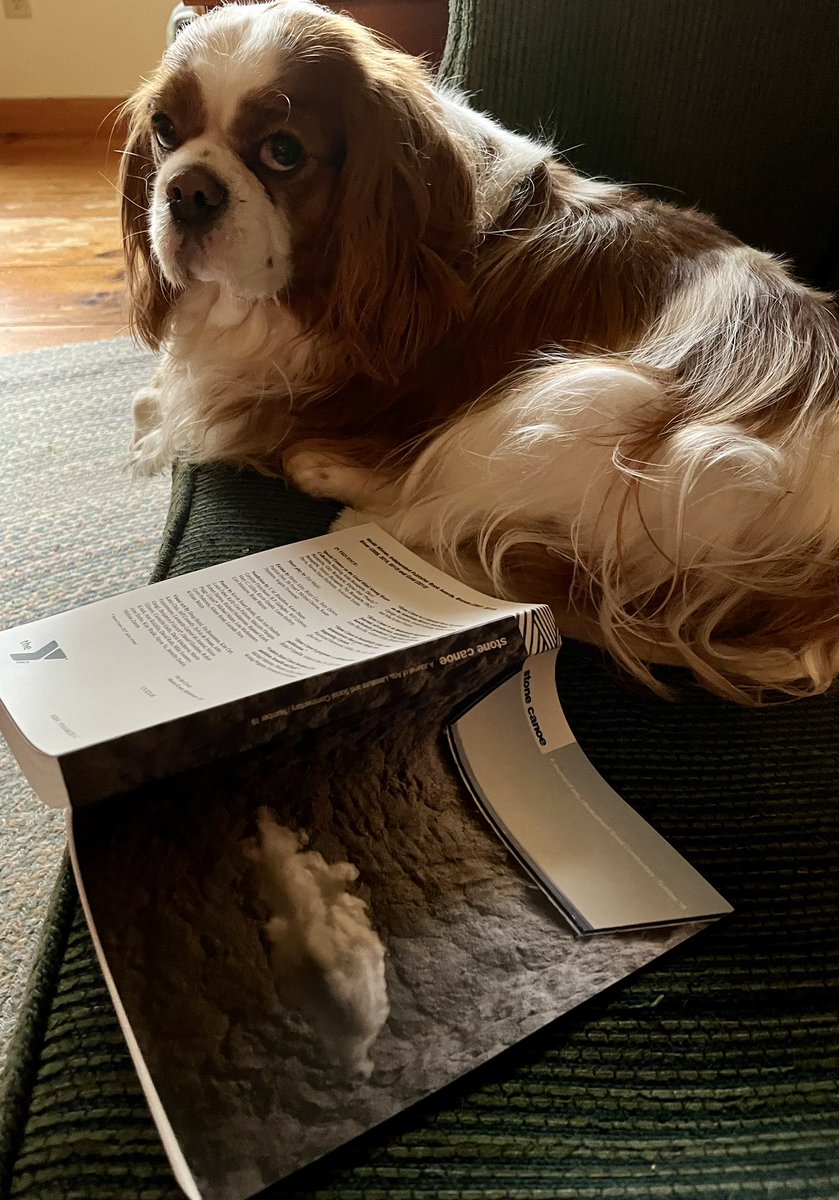 Melissa Ostrom tweet media