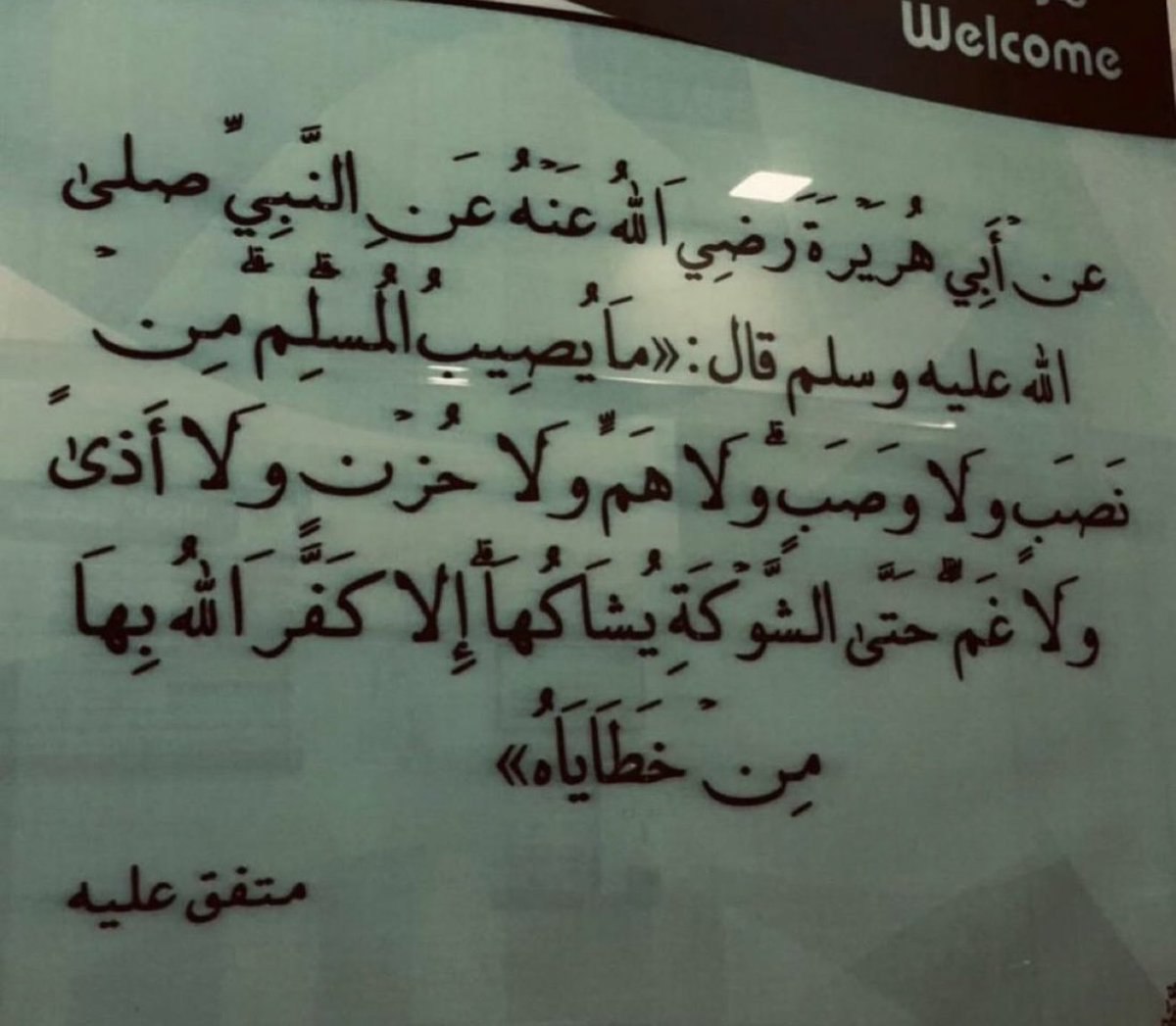 XNjk_'s tweet photo. September and October in one picture 
الحمدلله https://t.co/8pKPSDPItX