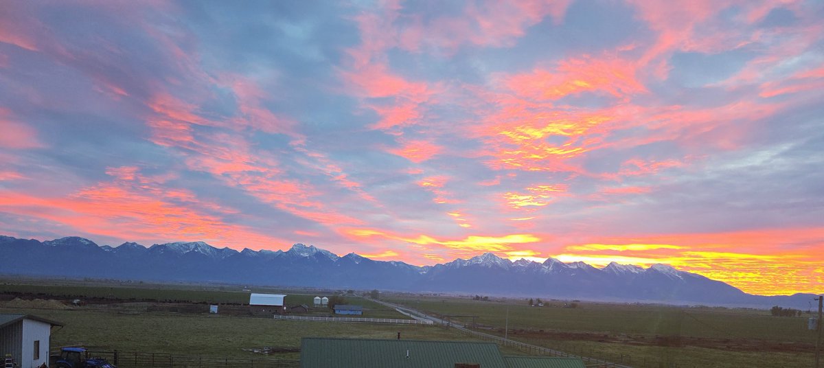 Good morning ☺️. Show me what you're looking at right now!