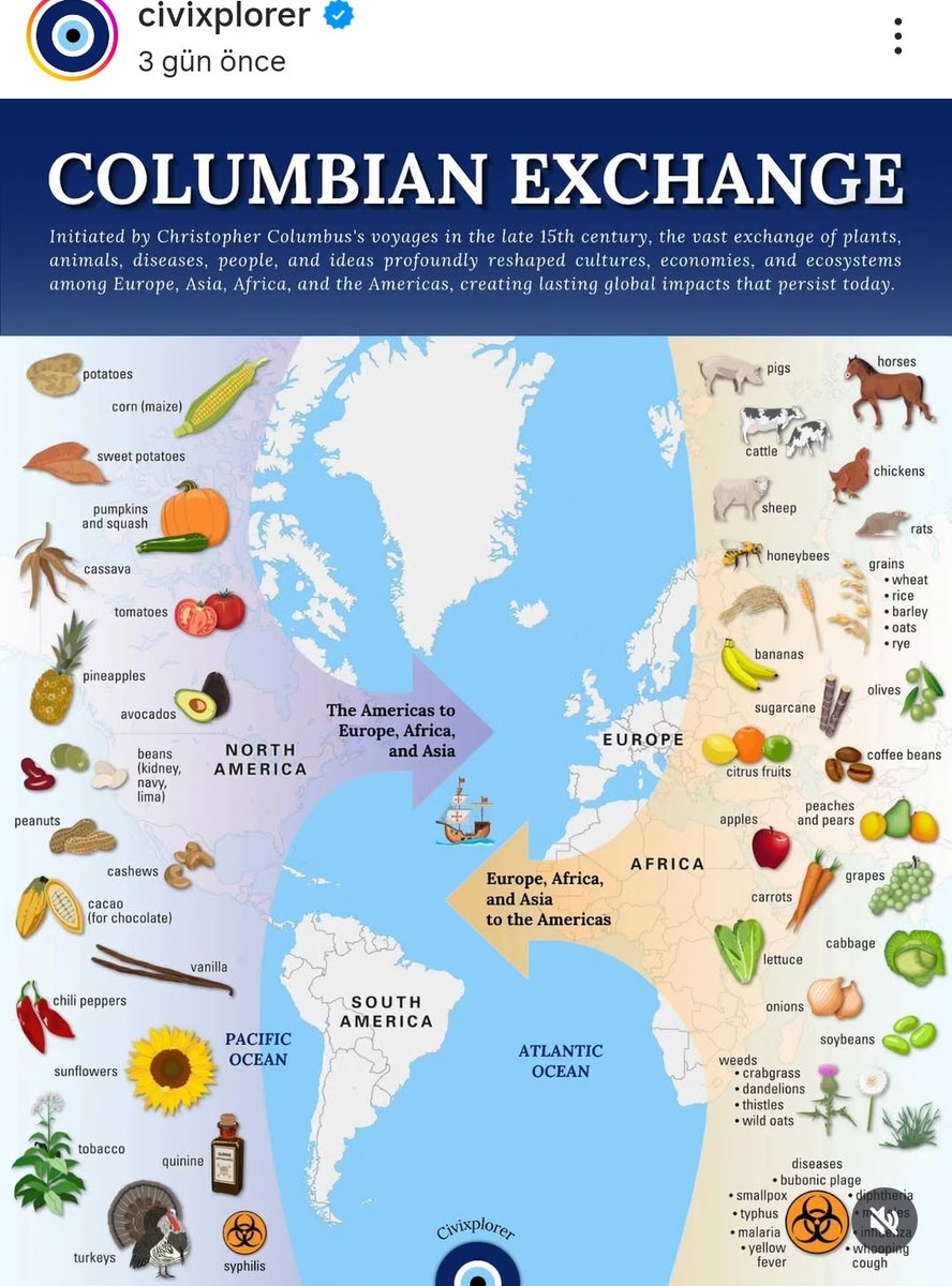 Kolomb'un Amerika seferinden sonraki ticaret ağı. Amerika'ya ne verdik ne aldık. Güzel bir görsel 💙