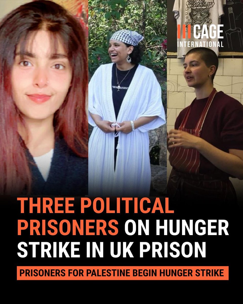 CAGE International tweet media