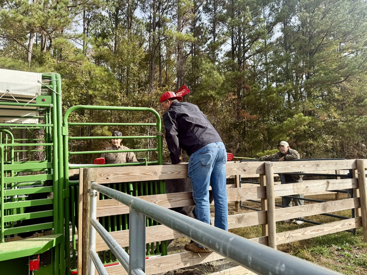 Year #5 of my cattle farm #ScotsbrierFarms 
1%Bettereveryday on and off the field!  Thankful for my Dad and Gdad that help me keep my farm going on the days I can’t be there!
<a href="/WeAreNewnan/">NEWNAN FOOTBALL</a>