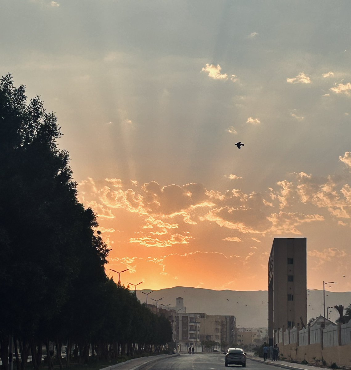 أبو لغلوغة🤍🇵🇸 (@abolagloga) on Twitter photo 