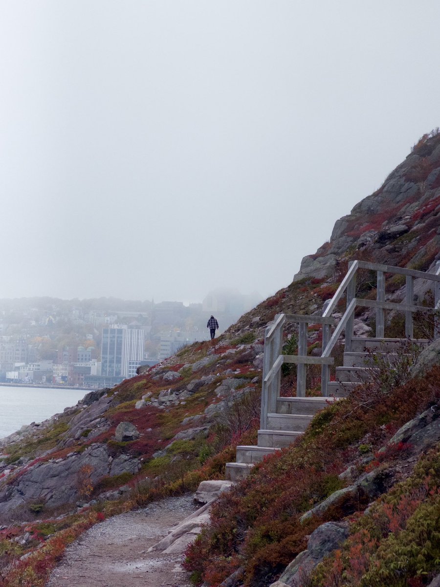 andrewsampson_'s tweet image. st. john’s newfoundland… now that’s one epic bucket list travel destination you NEED to visit now 
⬇️⬇️⬇️⬇️