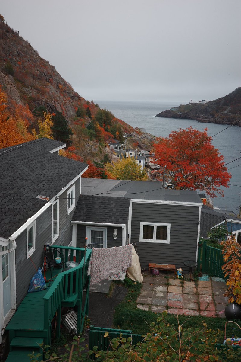 andrewsampson_'s tweet image. st. john’s newfoundland… now that’s one epic bucket list travel destination you NEED to visit now 
⬇️⬇️⬇️⬇️
