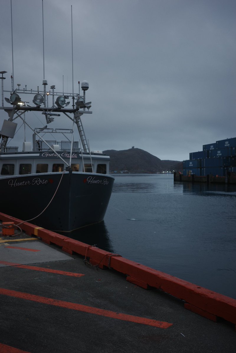 andrewsampson_'s tweet image. st. john’s newfoundland… now that’s one epic bucket list travel destination you NEED to visit now 
⬇️⬇️⬇️⬇️