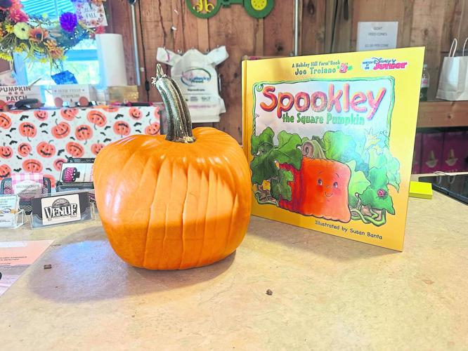 MeadeMessenger's tweet photo. https://t.co/h24XLxAKBz

Goats, G.O.A.T. slide, and great pumpkins for Flaherty Elementary

#Brandenbug #Kentucky #MeadeCounty https://t.co/ePmXMoL1Jt