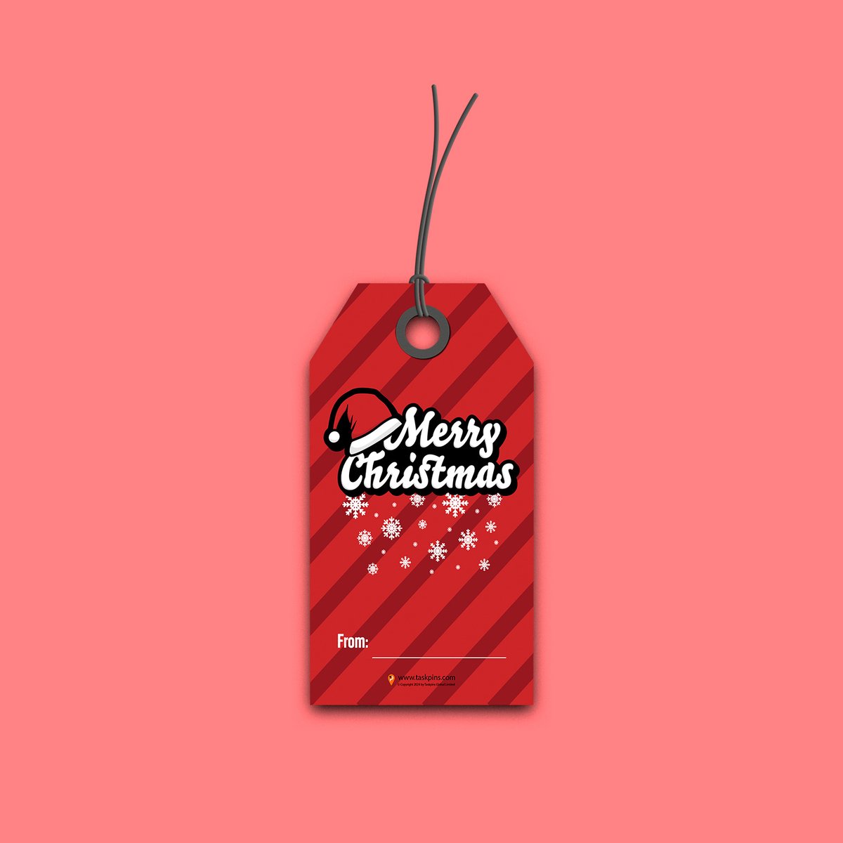 TaskPins's tweet image. AD Christmas Bag Tags

taskpins.com/product/christ…