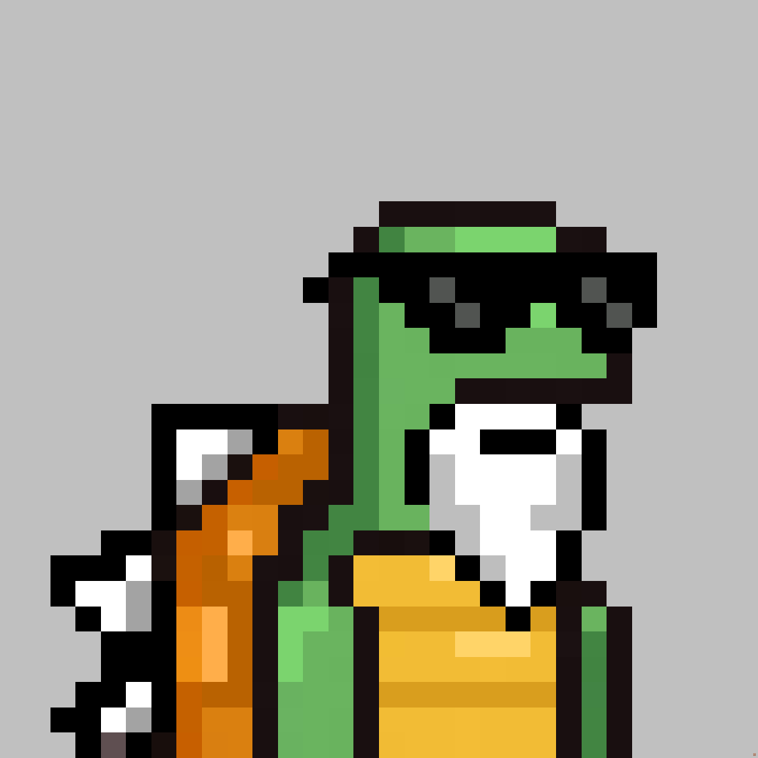 Bitcoin the Turtle NFT Collection tweet media