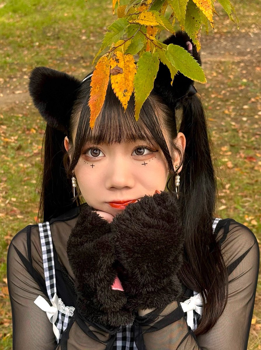 gorillaBANAPiRE's tweet photo. いい推しの日だから今年も推しがめちゃくちゃ可愛いってことを宣伝させて頂いてもいいですか？！てか宣伝します！（大音量）
🪭🧡🚃✌️🍰🟧🍅🐈‍⬛🍞🟠☀️👌✨✨
#まゆたろう
#MAYU
#いい推しの日

🟠ニコニコ動画
https://t.co/mrROTIQZKt
🟠YouTube
https://t.co/8BB3mEqsrk https://t.co/KVXy9OXpQb