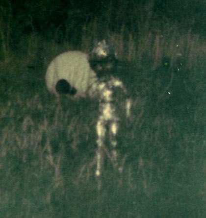 AnonymouShadow | UFO Research tweet media