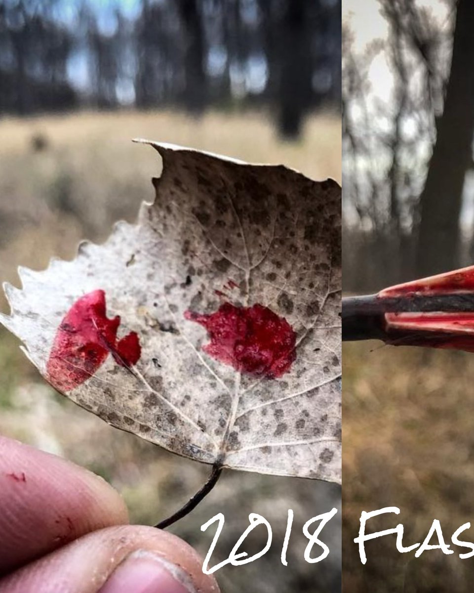 huntography tweet media