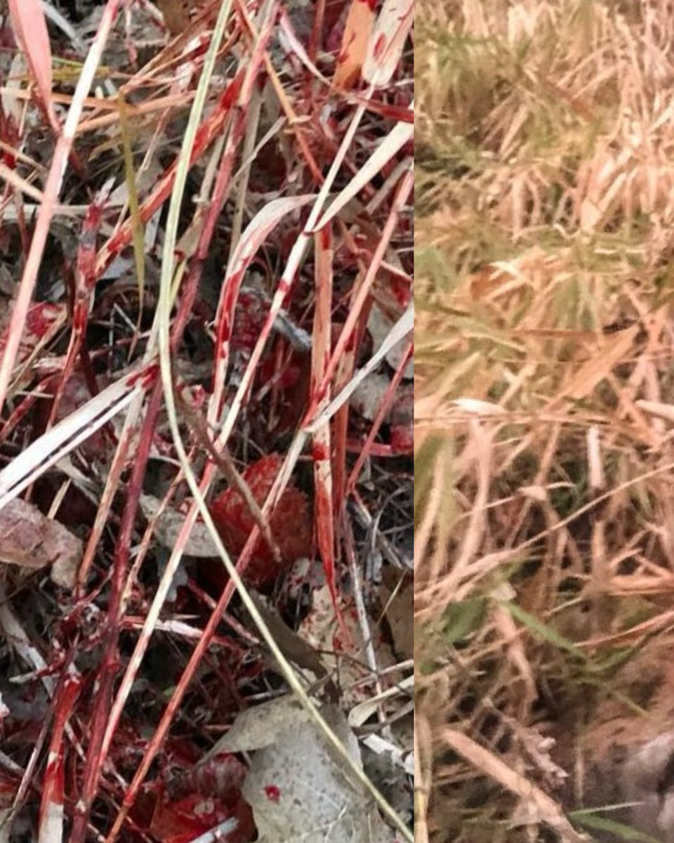 huntography tweet media