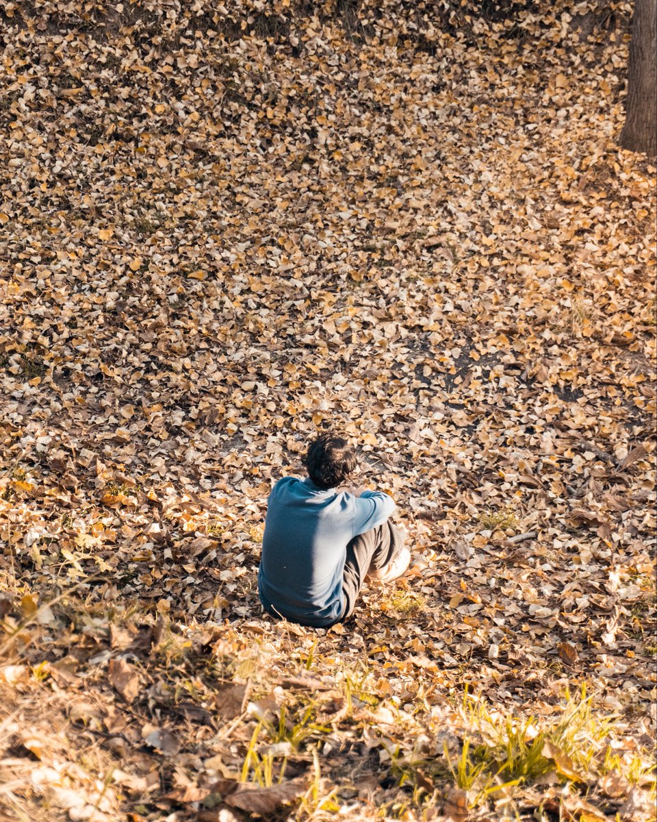 Artsysnapsclick's tweet photo. memories.
#autumn #AutumnVibes #Artsysnapsclicks https://t.co/Wmf6fi8T07