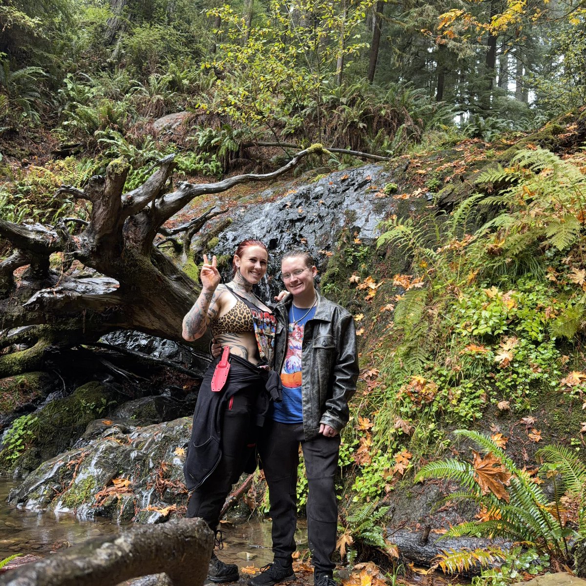 Autumn Ivy tweet media