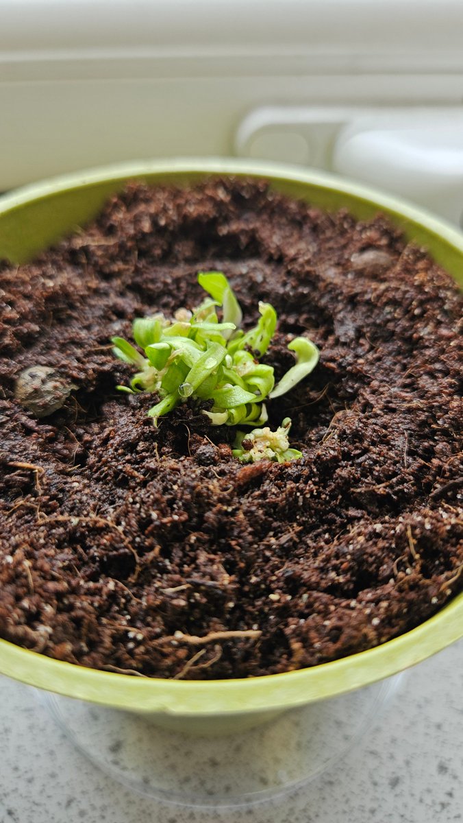 National Centre for Biotechnology Education tweet media