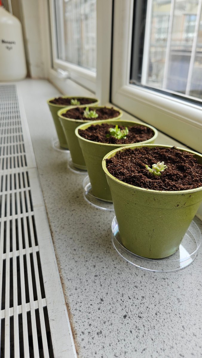 National Centre for Biotechnology Education tweet media