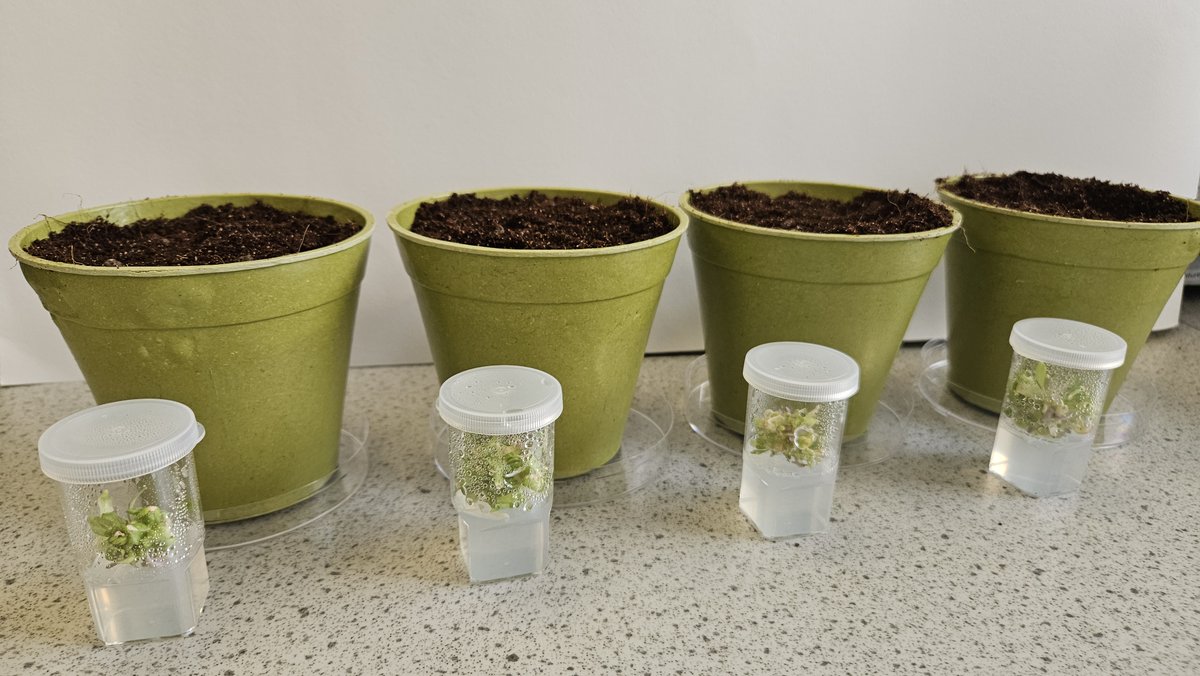 National Centre for Biotechnology Education tweet media