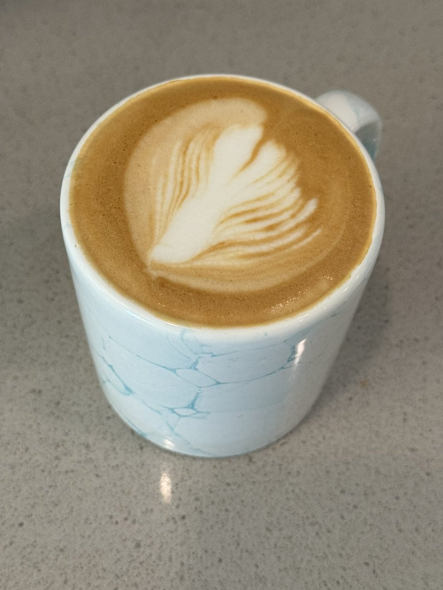 gm we’re getting back into it