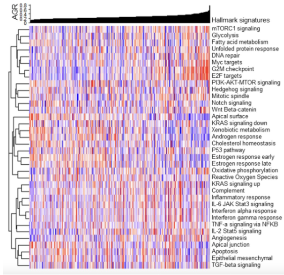 UroToday.com tweet media