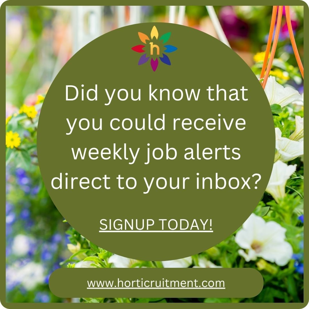 hortijobs's tweet photo. #Horticruitment take the work out of your #jobsearch. 📣

🌳 Sign up to 'Job Spotlight' emails at https://t.co/JVdUHTt6Nw 
https://t.co/Nb2Mw1XJBN recruiting for the  horticulture sector since 1989 🌿 https://t.co/Fd9ThDBaIL