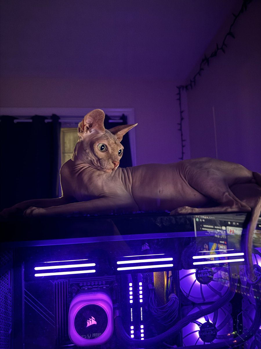 Noah (@noah1x) / Posts / X