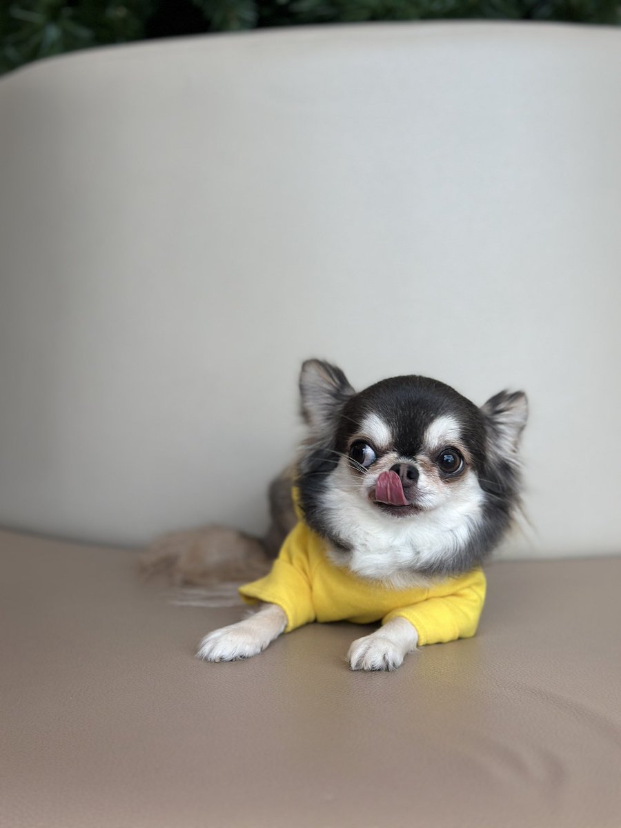 tiNa suppanad tweet media