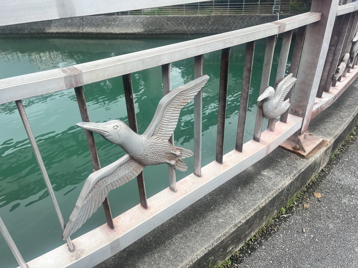 今田 (@oniku_seiniku) on Twitter photo 