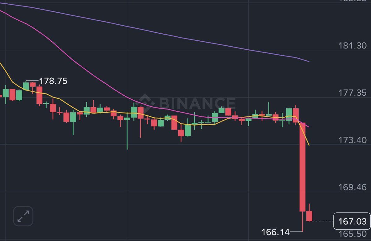“Big week for SOLANA” 😭