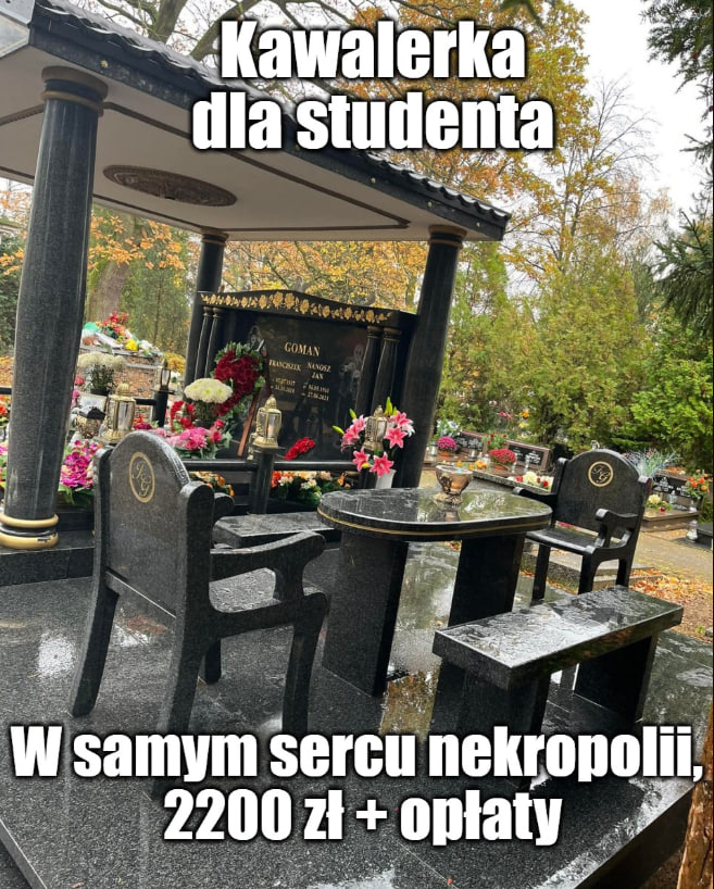 donald.pl tweet media
