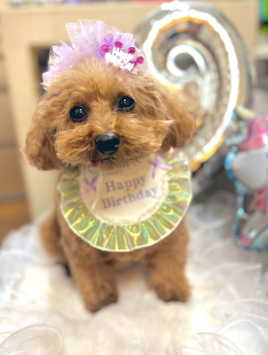 ちかりんご tweet media