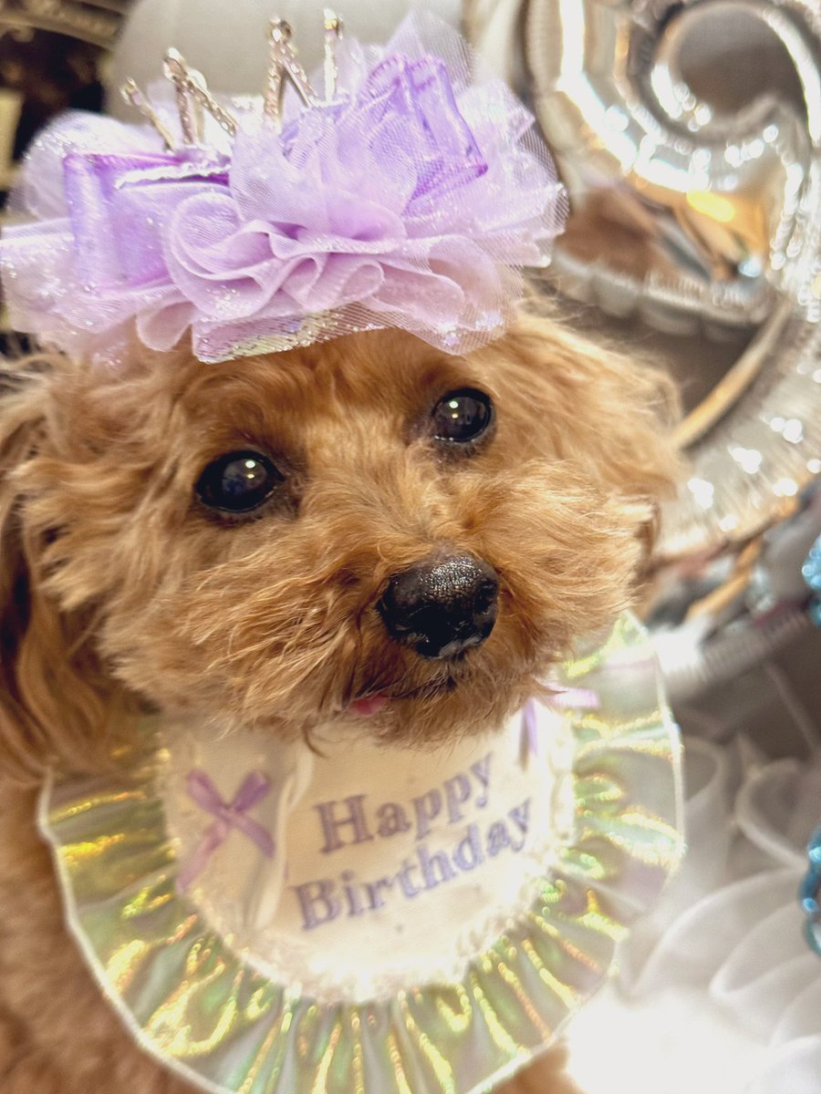 ちかりんご tweet media