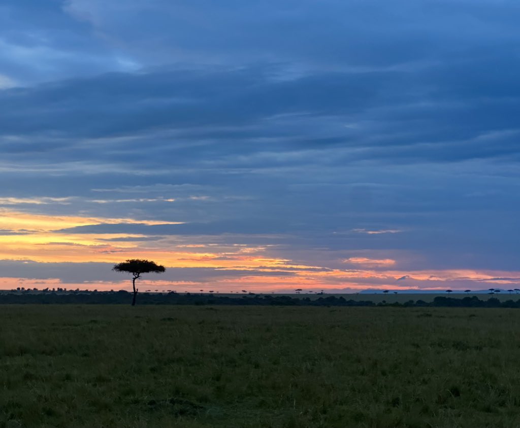 Had been planning this for a while, so glad managed to pull it off despite multiple hurdles. 

Some breathtaking views, up close with nature in its most authentic raw self. <a href="/FairmontMara/">Fairmont Mara Safari</a> and their team couldn’t have played a more gracious host.