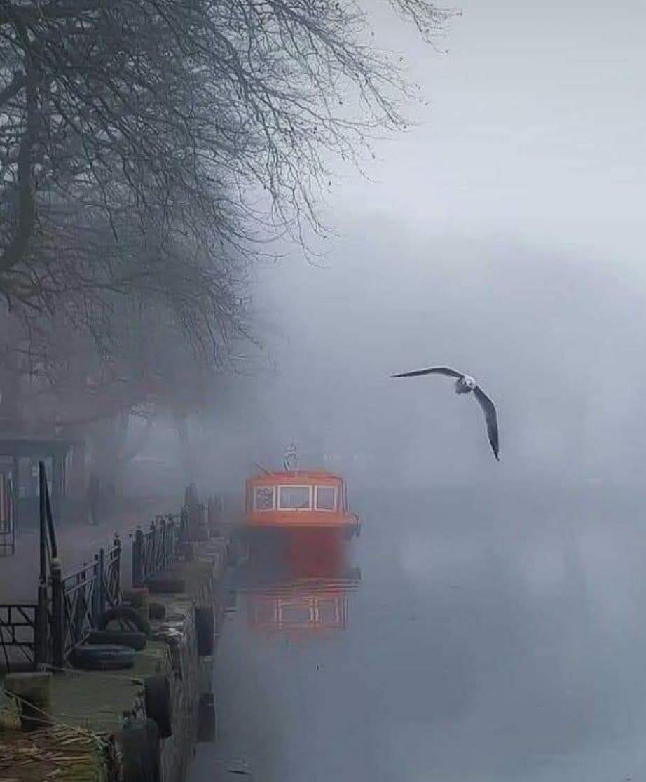 Σπύρος αγγελου (@aggelosspiros) on Twitter photo 