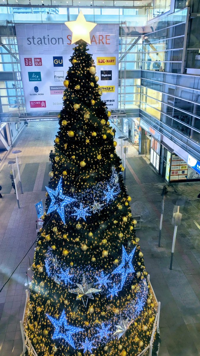 大人の香りがする度に呼吸を忘れそうになって(痴呆？)
指が小刻みに震えて(アル中ではない)
いや、アル中かも
妖艶な姿に酔ってるんだ…
だとしたら今日は泥酔です

#access
#TransientWorld