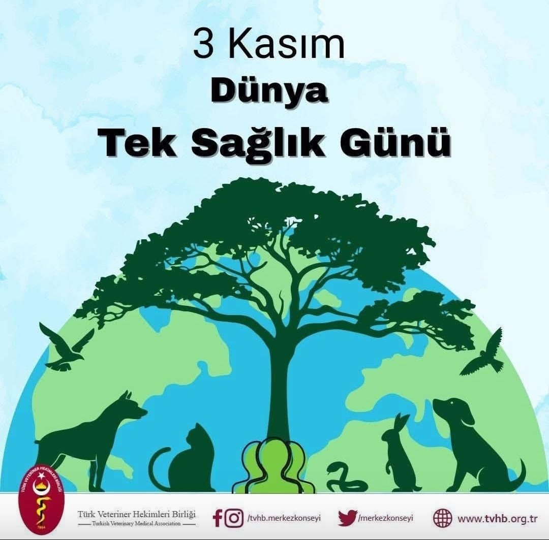 Veteriner Hekimler hem insan hem hayvan hem gıda hem de çevre sağlığı için görev yapan hekimlerdir.
Tek Sağlık.