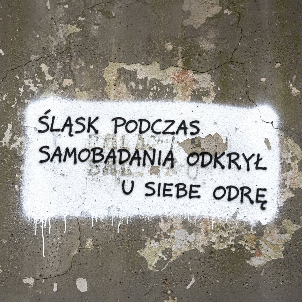 ŁKS Łódź tweet media