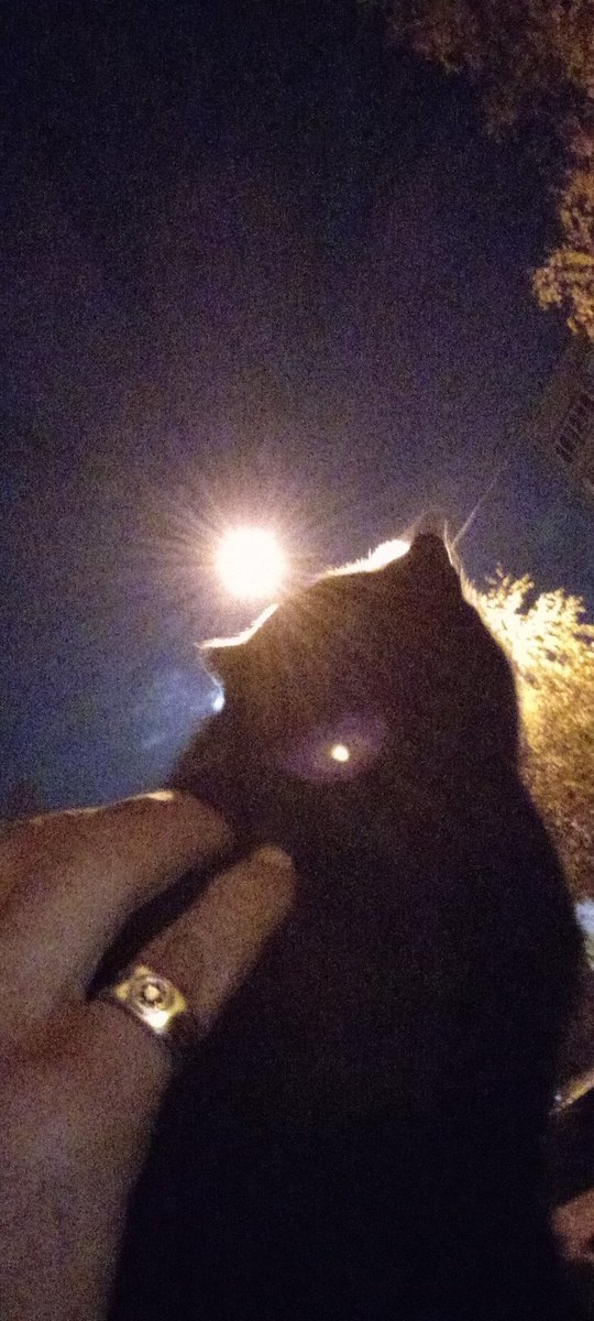 prisaznuk19432's tweet image. 