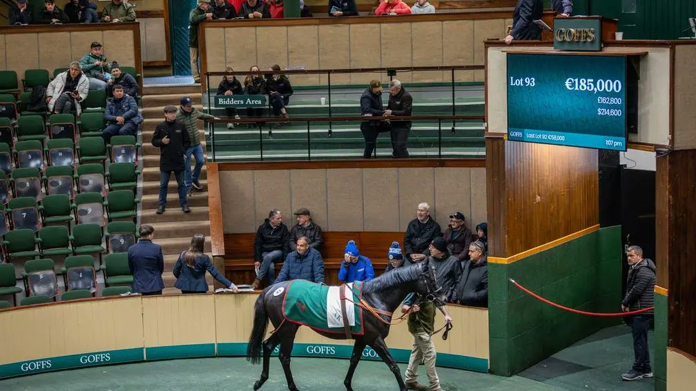 Racing Post Bloodstock tweet media