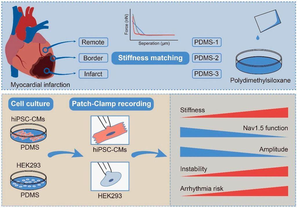 👋Channelomics.bsky.social👋 tweet media