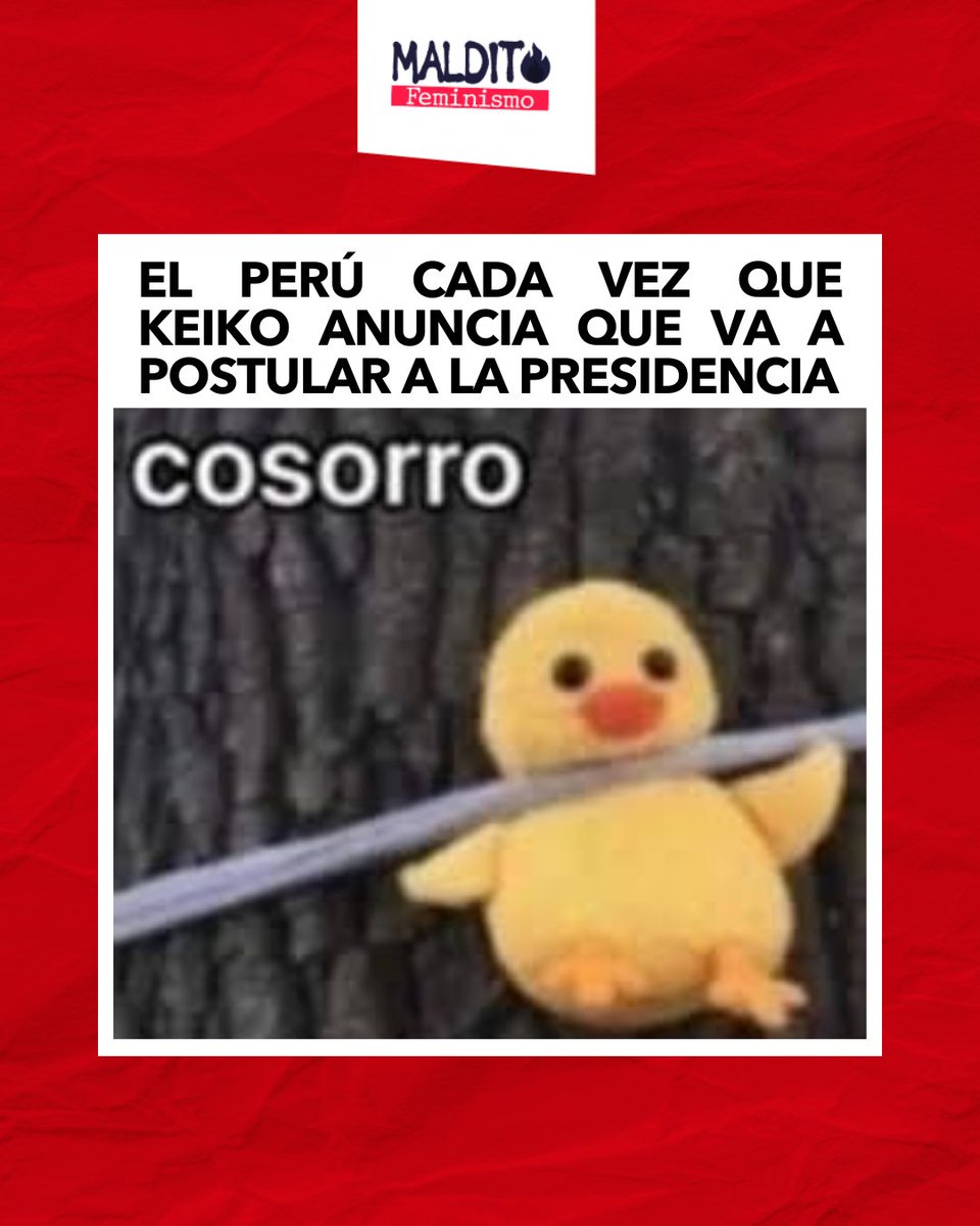 Maldito Feminismo tweet media