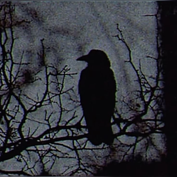 ancilladominii's tweet image. 